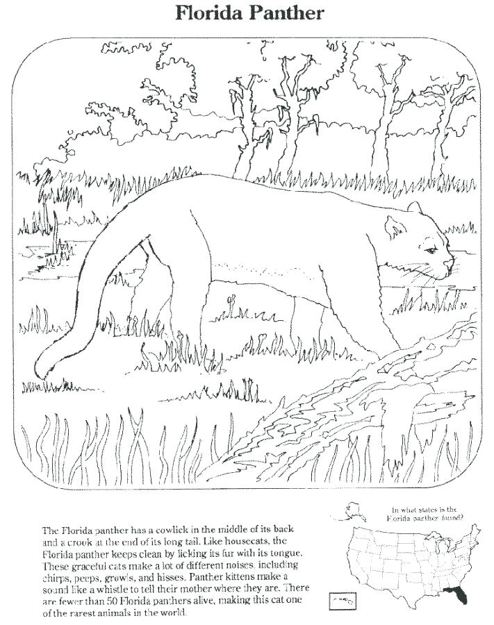 711x900 Florida Flag Coloring Page