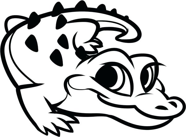 600x444 Florida Gators Coloring Pages