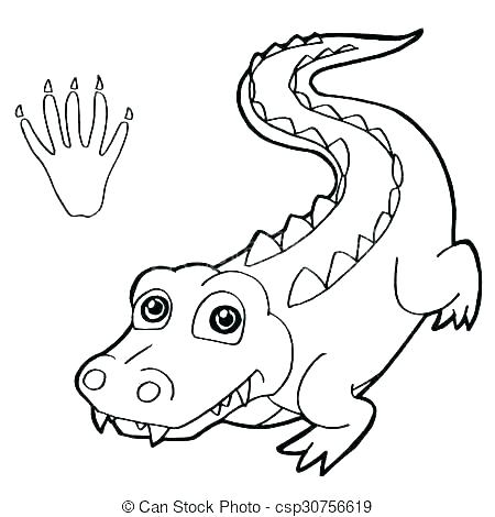 450x470 Gator Coloring Pages