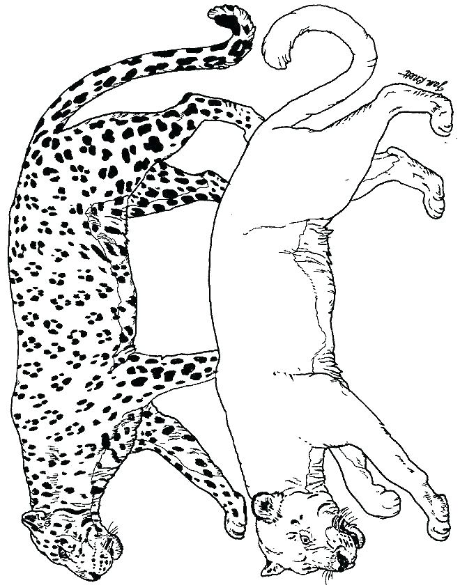 660x840 Panther Coloring Page Black Panther Coloring Pages Panther