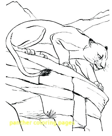 476x576 Panther Coloring Page Panther Coloring Pages With Panther Adult