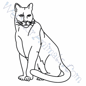 300x300 Florida Panther Coloring Pages