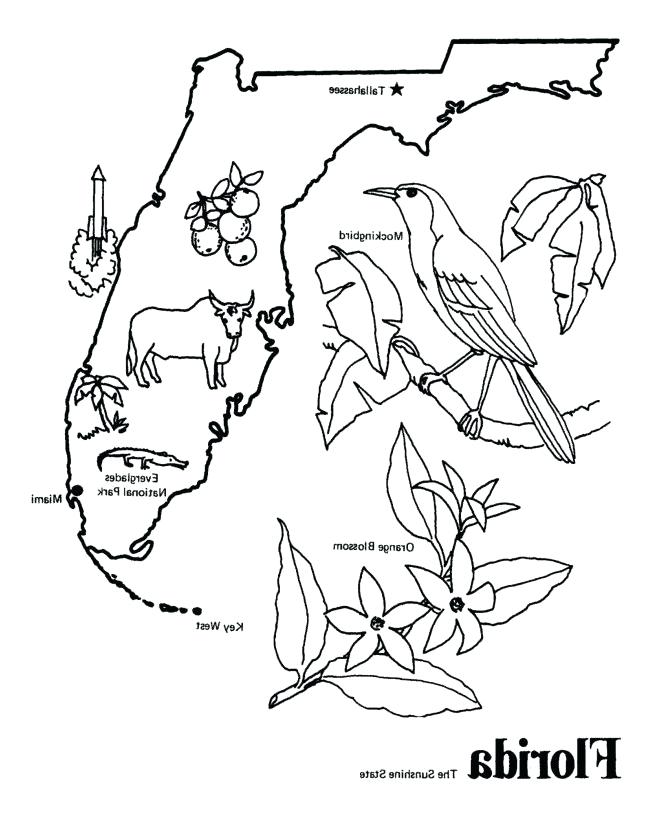 670x820 Florida State Seminoles Coloring Pages