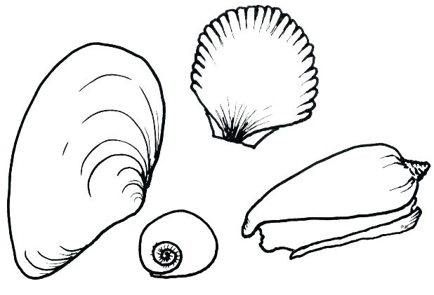 618x421 Sebastian Coloring Pages Flounder Coloring Pages Sea Shell