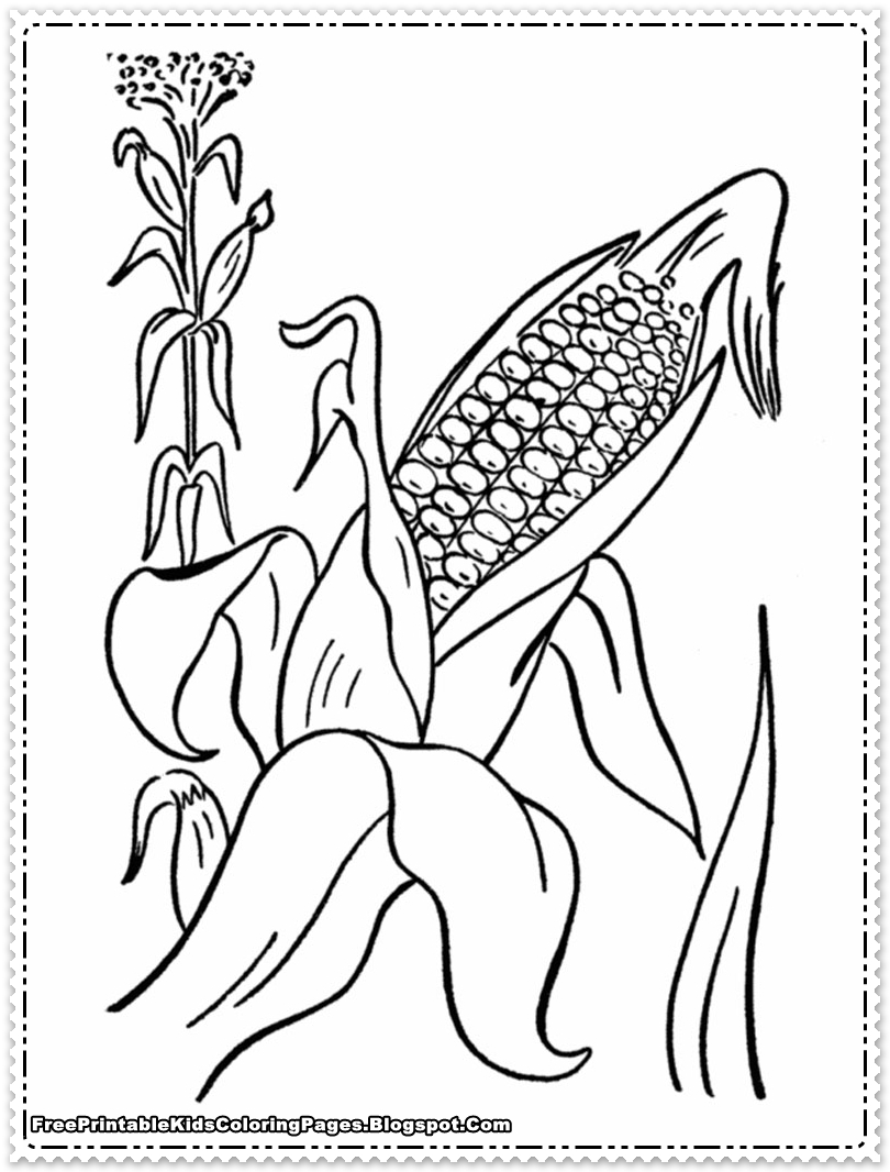 810x1066 Corn On The Cob Coloring Pages For Kids Awful To Printy Free