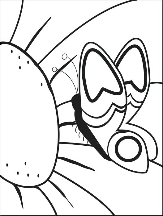 527x700 Free Printable Coloring Pages Life Cycle Butterfly Page For Kids