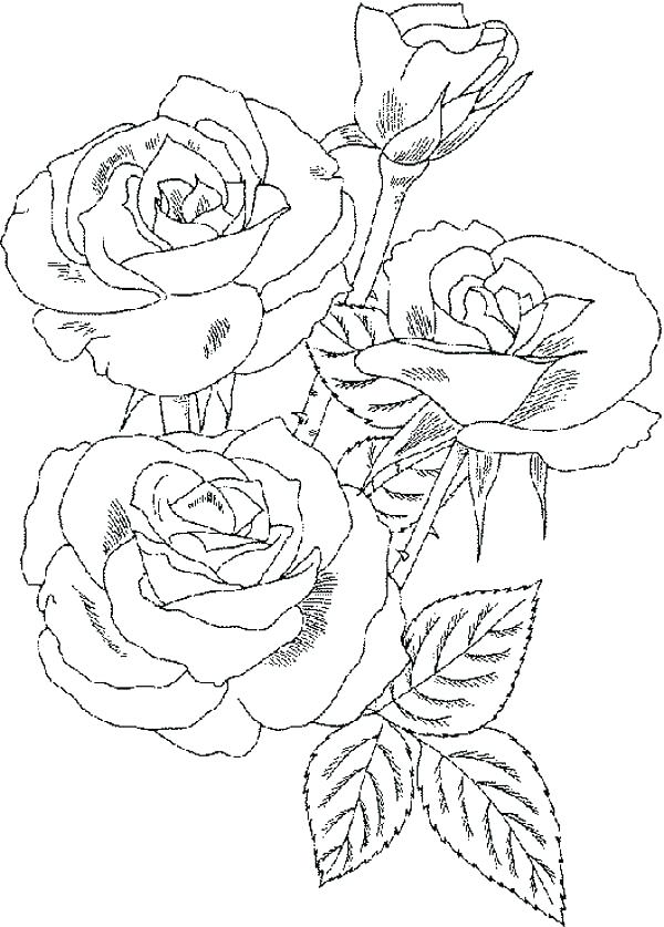 600x837 Bouquet Of Flowers Coloring Pages Flower Bouquet Coloring Pages