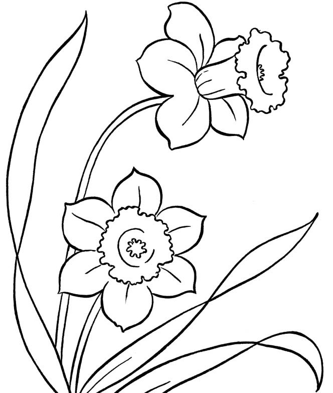 663x783 Spring Flowers Colouring Pages To Print