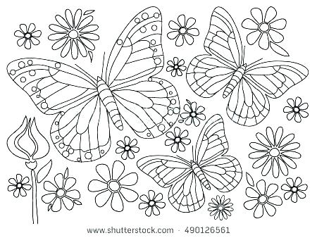 450x338 Cartoon Butterfly Coloring Pages