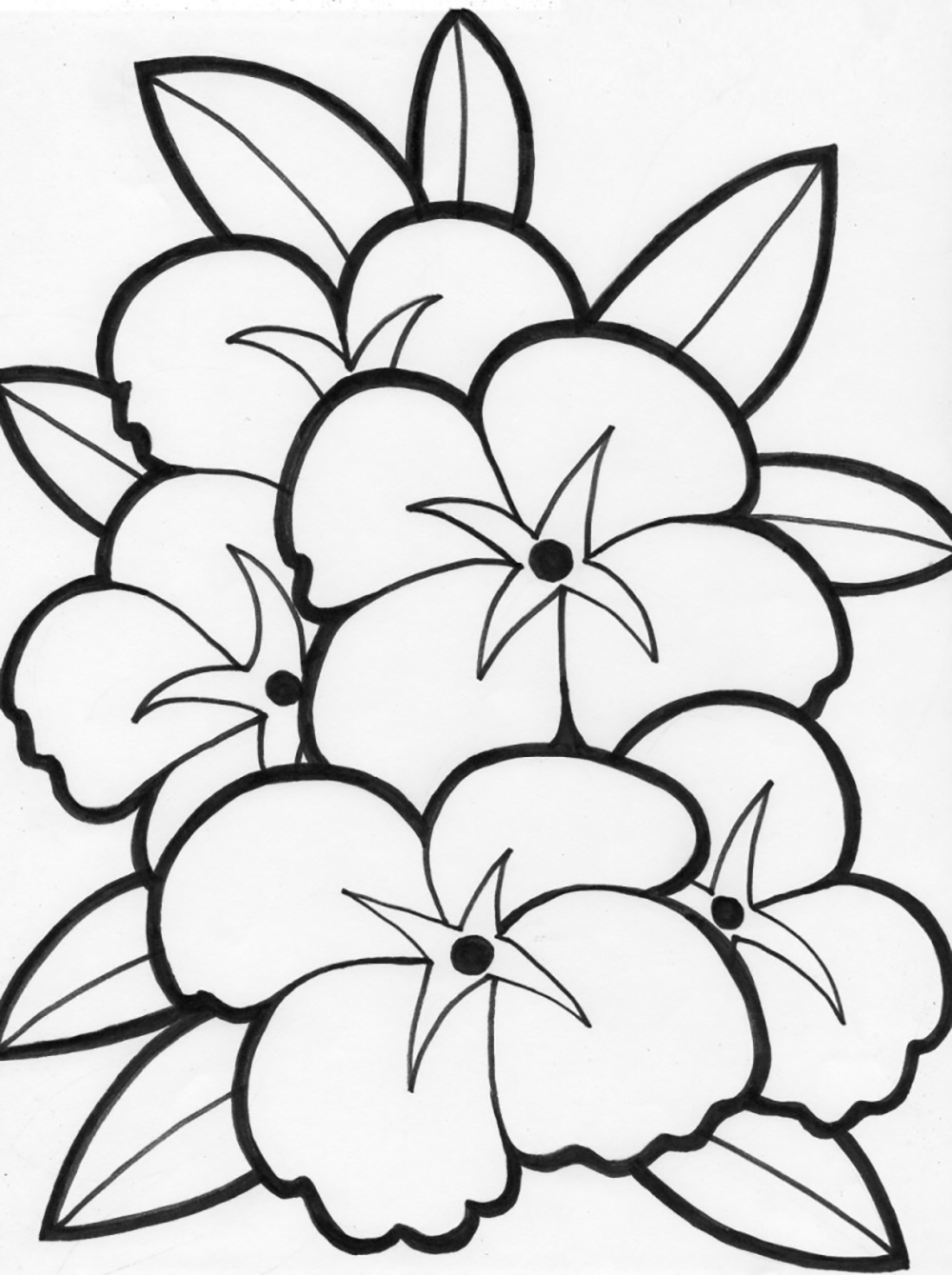 1000x1339 Perspective Single Flower Coloring Pages Best Outline For Kids