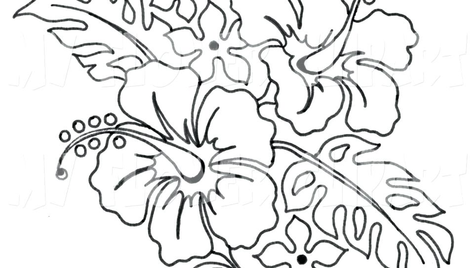 960x544 Printable Hibiscus Flower Coloring Pages Realistic Flowers Page