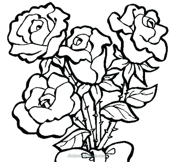 600x558 Big Flower Coloring Pages Coloring Pages Of Roses And Flowers