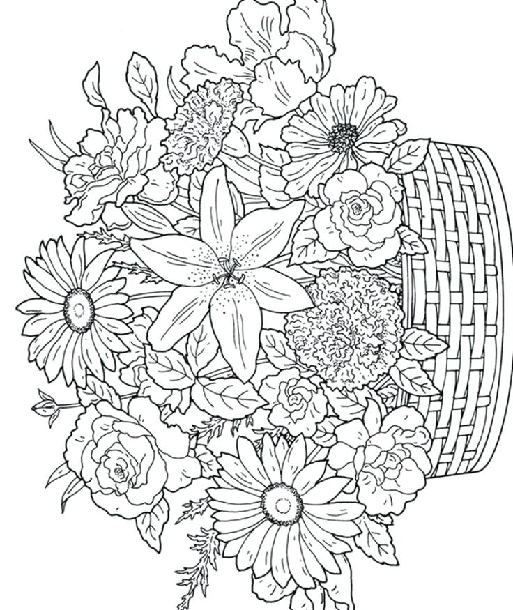 736x875 Free Flower Coloring Pages For Preschoolers