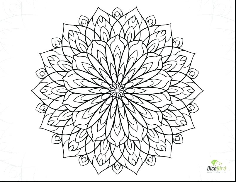 805x622 Spring Flower Coloring Pages Coloring Pages Of Cute Cute Flower