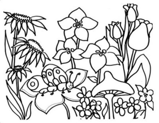 550x425 Flowers Coloring Pages For Kids Captivating Flower Coloring Pages