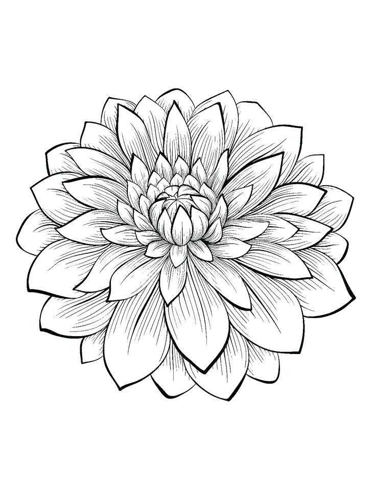 736x950 Flowers Colouring Also Valentines Day Coloring Pages Flowers Local