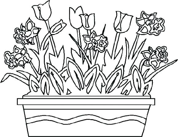 580x446 Realistic Flower Coloring Pages Detailed Flower Coloring Pages