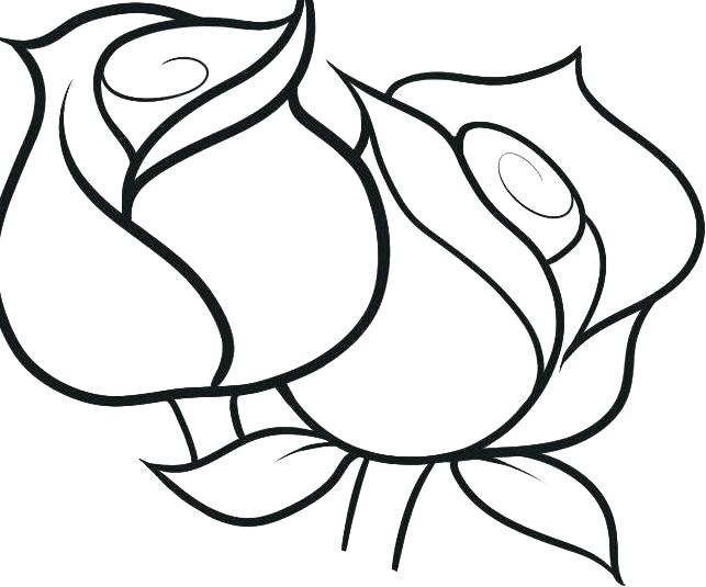 643x535 Flower Coloring Sheets Preschoolers Flower Coloring Pages