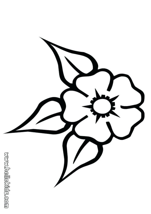 601x850 Flower Coloring Page Three Leaf Flower Three Leaf Flower Coloring