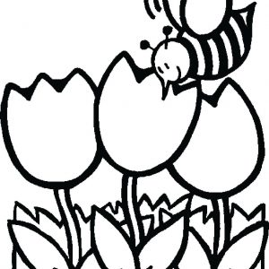 300x300 Flower Coloring Pages For Toddlers Fresh Flower Coloring Pages