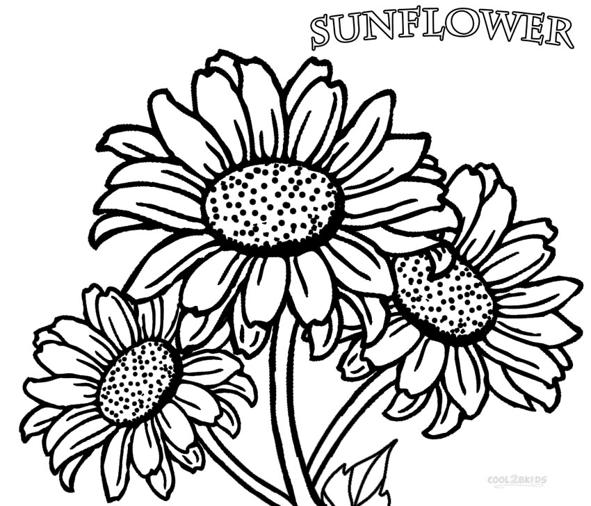 850x728 Printable Sunflower Coloring Pages For Kids