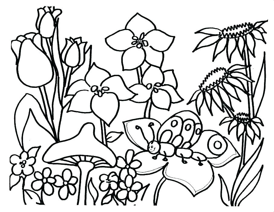 906x700 Coloring Pictures For Spring