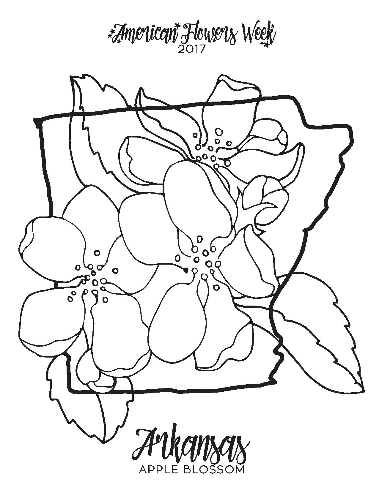 1275x1650 State Flowers Free Coloring Pages American Flowers Week