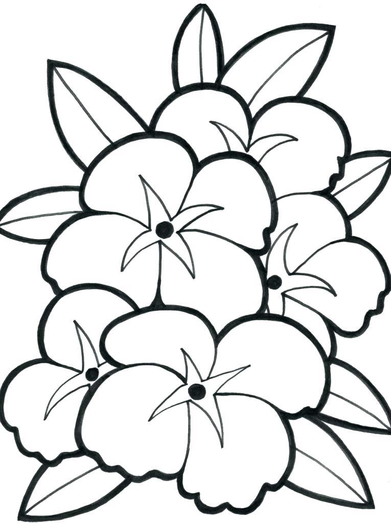 765x1024 Flower Coloring Page