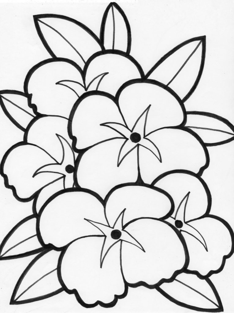 765x1024 Beautiful Flower Flowers Coloring Pages And Pretty