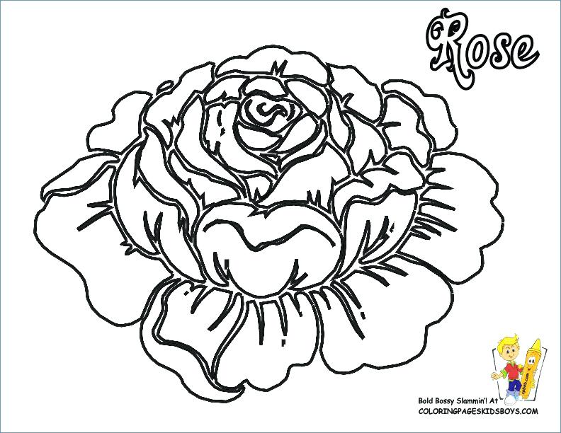 792x612 Flower Coloring Pages To Print Flowers Coloring Pages Print Flower