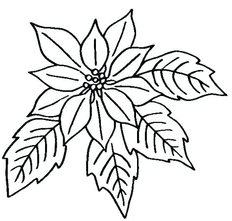 474x451 Free Printable Flower Coloring Pages Printable Flower Coloring