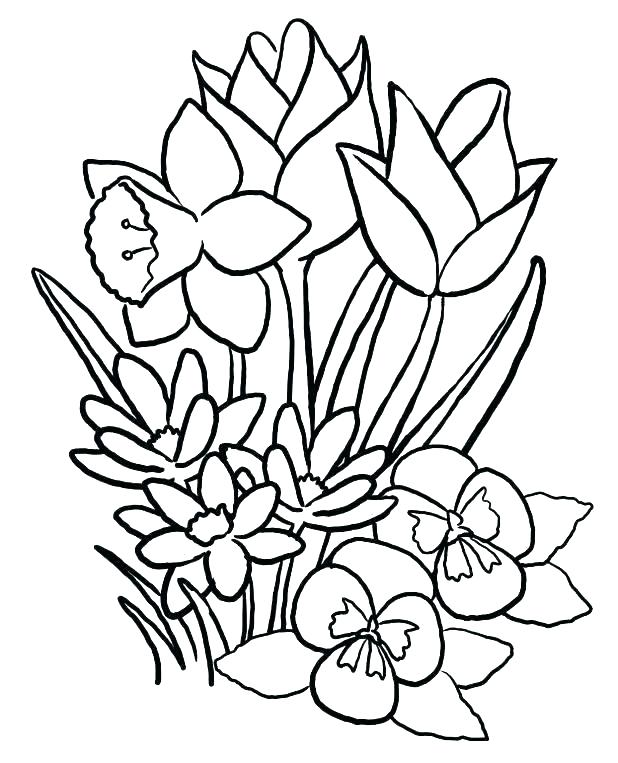 618x763 Spring Coloring Pages Kids Coloring Pages Printable Spring