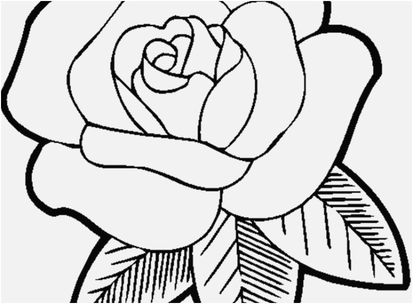827x609 Flower Print Out Collection Funny Flower Coloring Pages To Print
