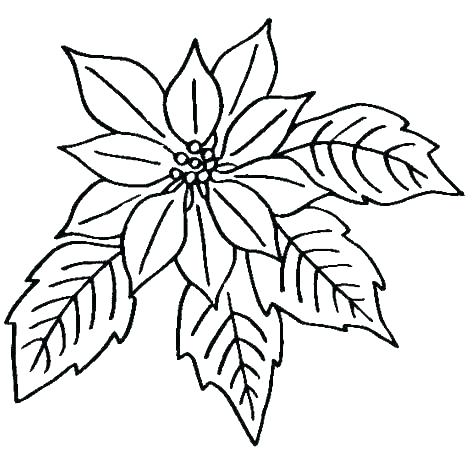 474x451 Flower Print Out Coloring Pages Print Out Coloring Pages Flowers