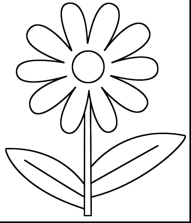 615x718 Excellent Spring Flower Coloring Pages Online Print Out Lovable