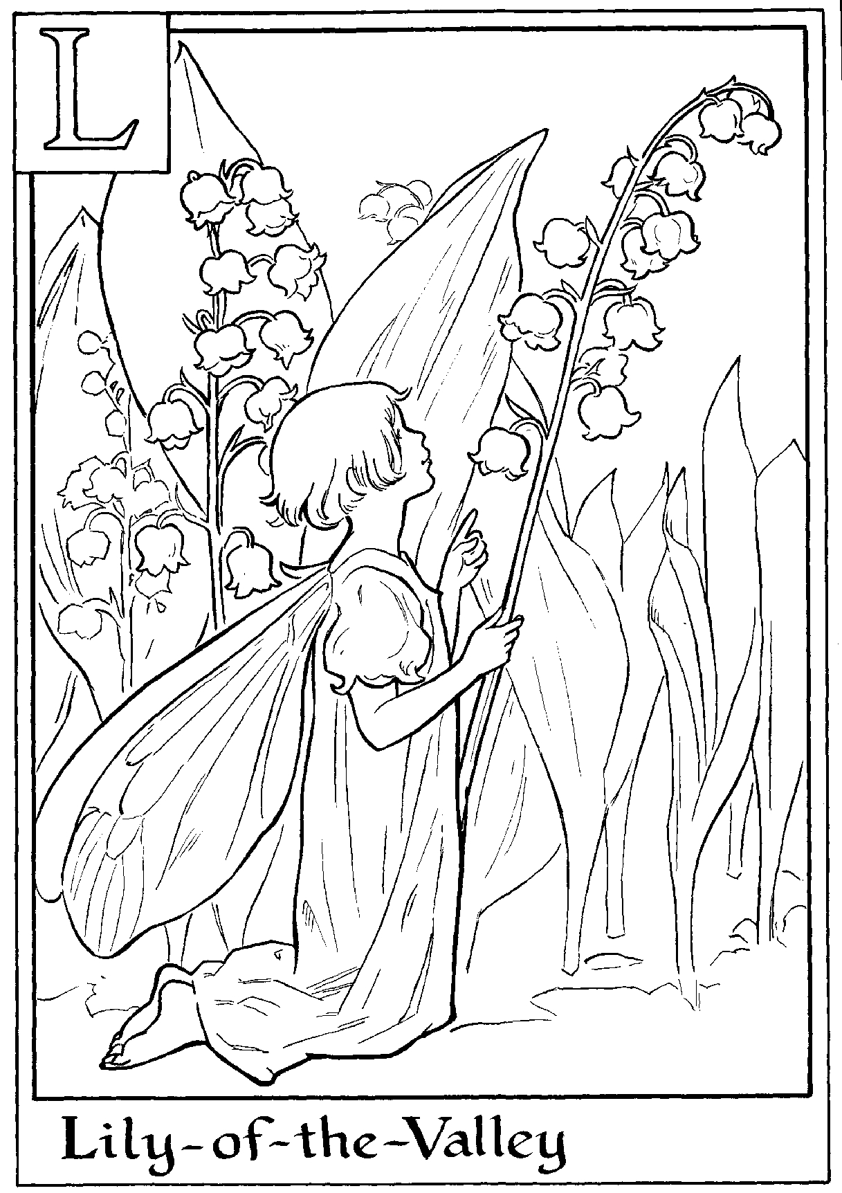 1217x1724 Fresh Flower Fairies Coloring Pages Gallery Printable Coloring Sheet
