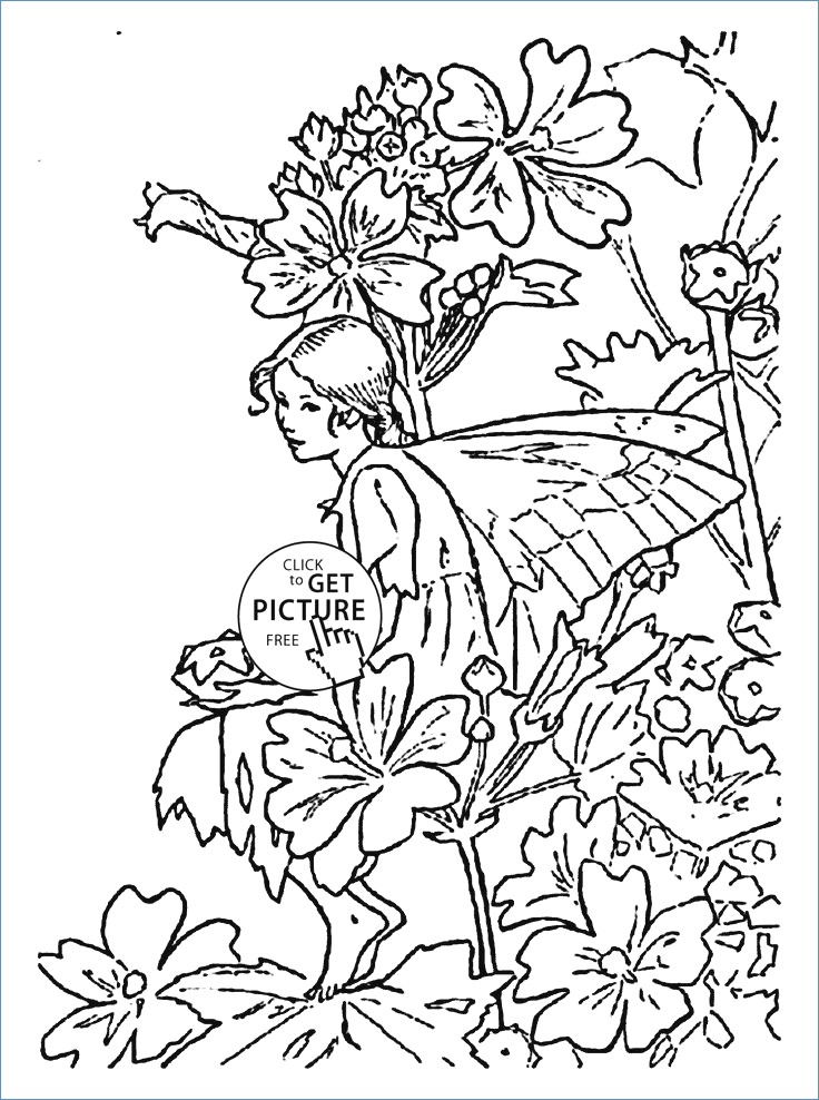 736x988 Letter B For Bugle Flower Fairy Coloring Page