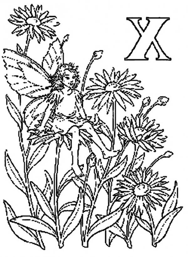 600x818 Coloring Sheets Fairy Sitting On A Flower
