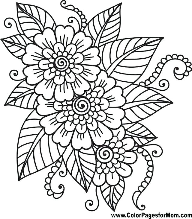640x732 Photo To Coloring Page Coloring Pages Photo Coloring Page