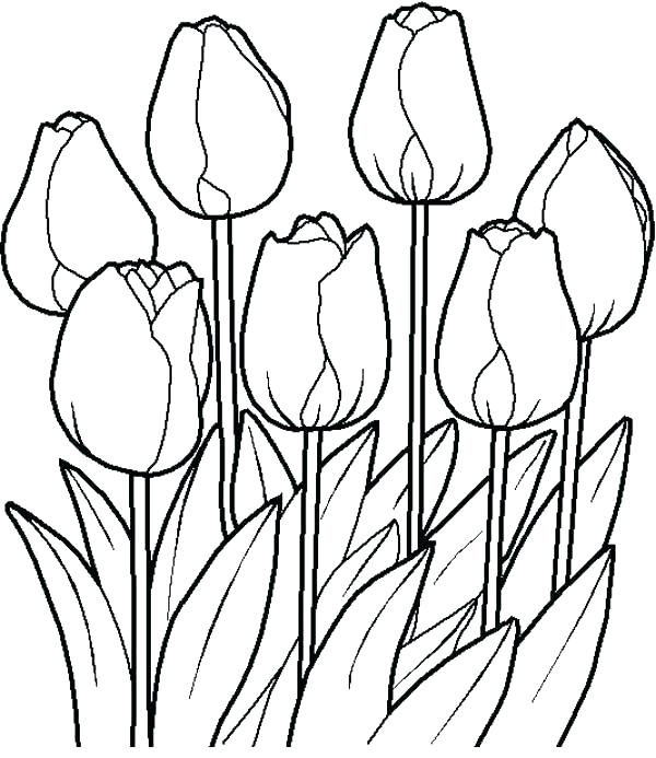 600x693 Flower Garden Coloring Page Garden Coloring Page Flower Garden
