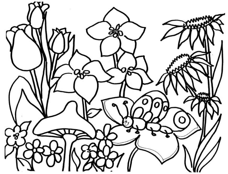 869x662 Flower Garden Coloring Page Coloring Book