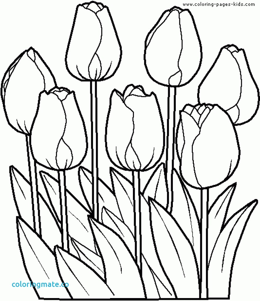 886x1024 Flower Garden Coloring Pages Lovely Page Of Coloriafes Disney