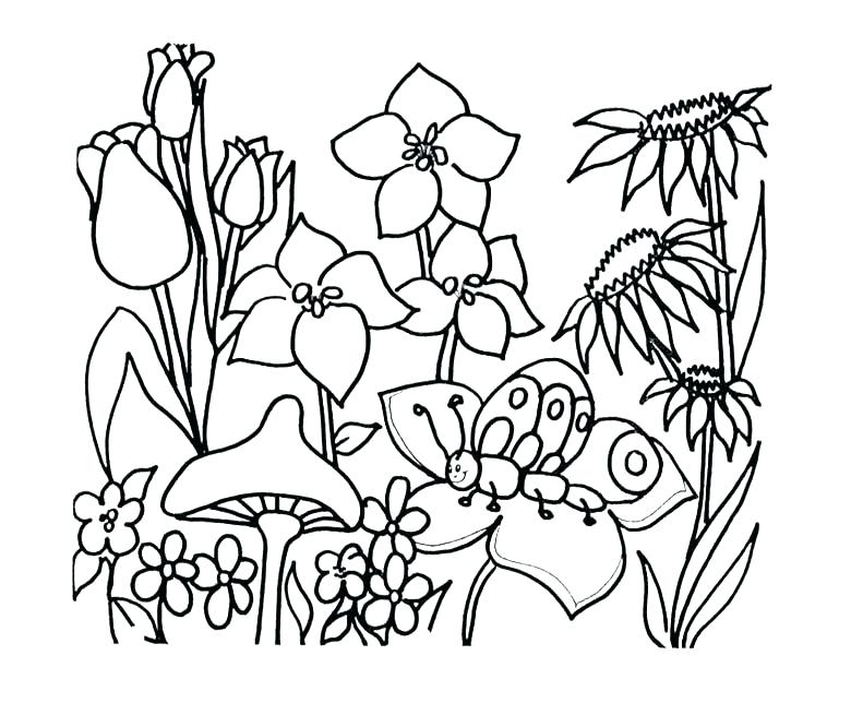 780x644 Garden Coloring Page Luxury Flower Garden Coloring Page Crayola