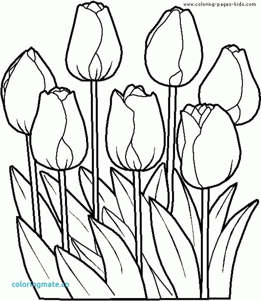 886x1024 Coloring Pages Flower Garden Fresh Flower Garden Coloring Pages