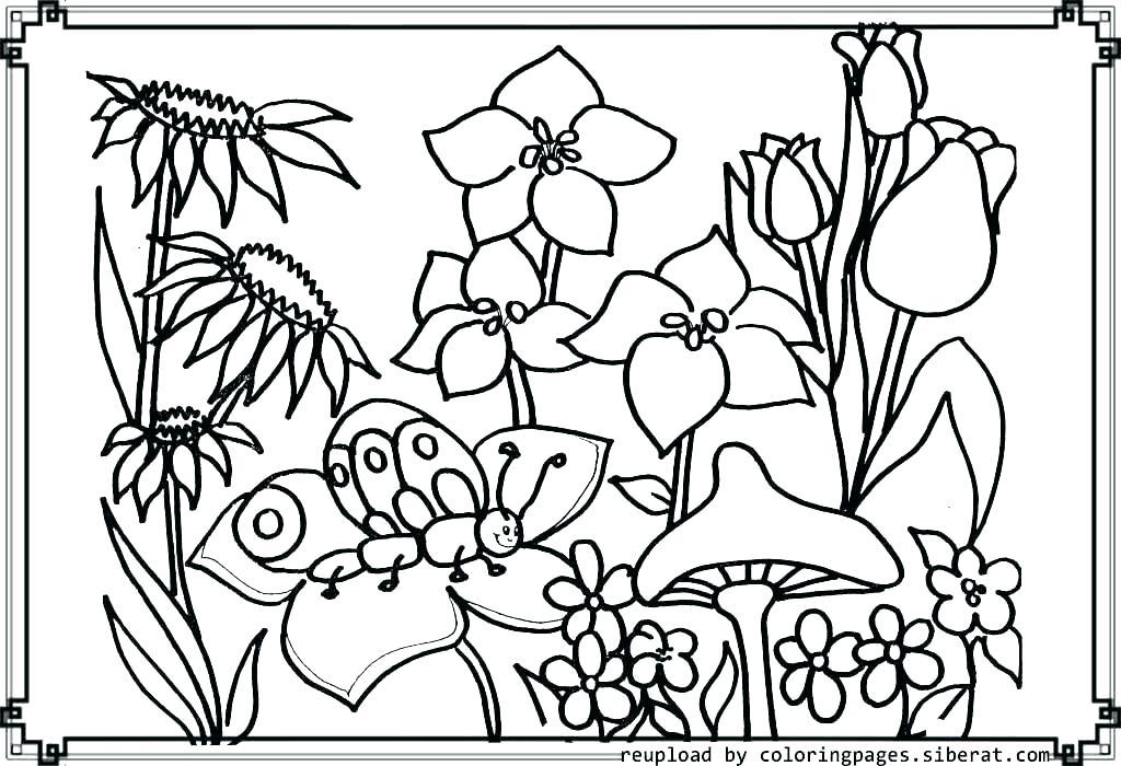 The best free Garden coloring page images. Download from 917 free ...