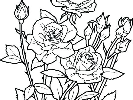 440x330 Flower Garden Coloring Page Coloring Pages Of A Flower Coloring