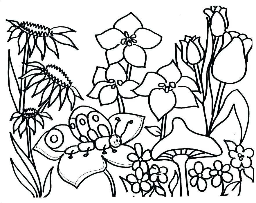 882x700 Flower Garden Coloring Pages To Download And Print For Free Spring