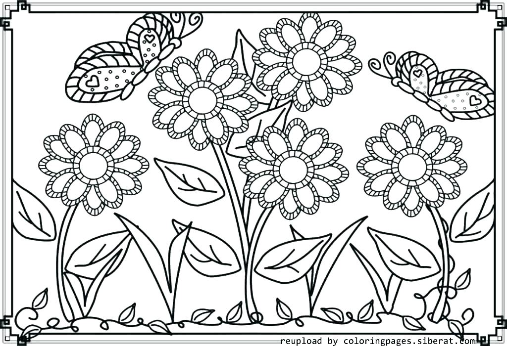1024x700 Free Printable Flower Coloring Pages Printable Flower Coloring
