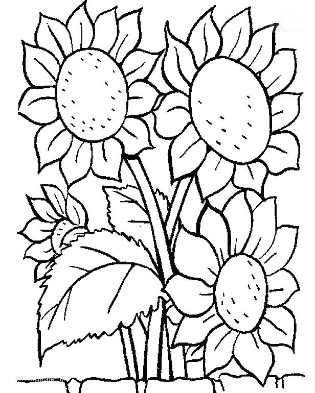 616x770 Garden Coloring Pages Free Download Best Garden Coloring Pages