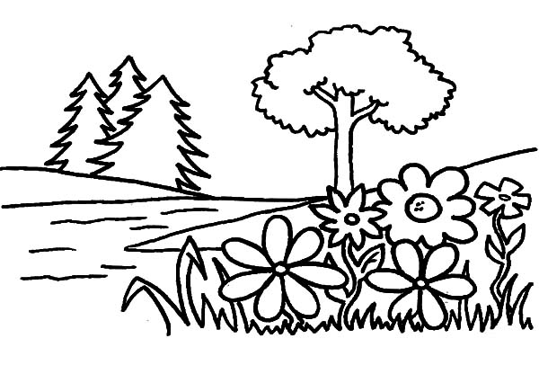 600x426 Garden Pictures To Color Flower Garden Coloring Pages Color Luna